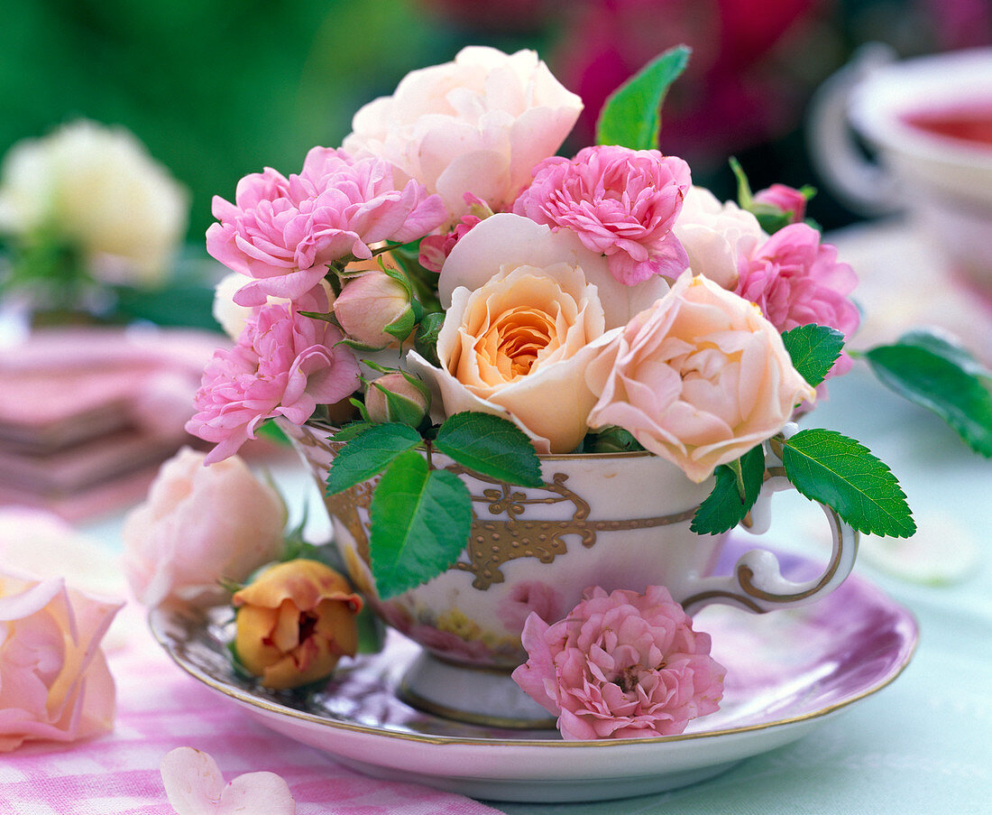 Pink (rose) in gold decorated teacup