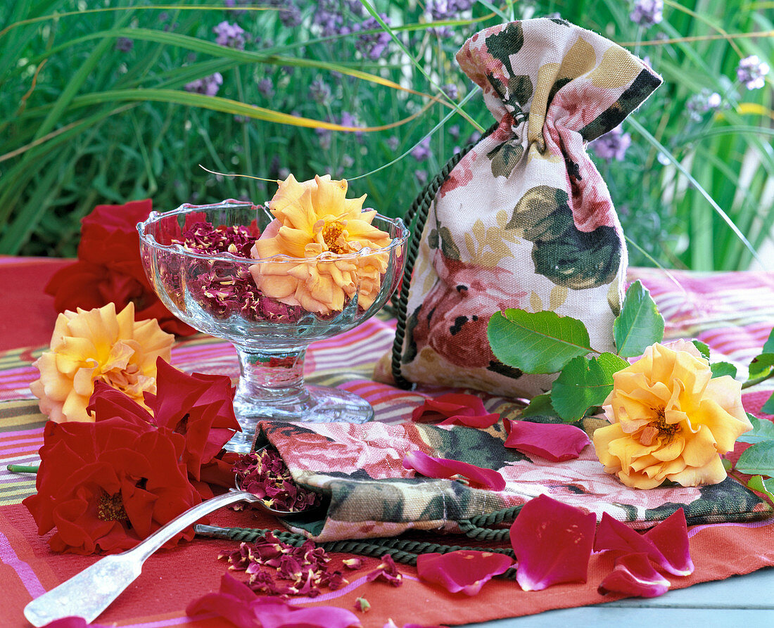 Blossoms and petals of Rosa (roses) in fresh and dried form