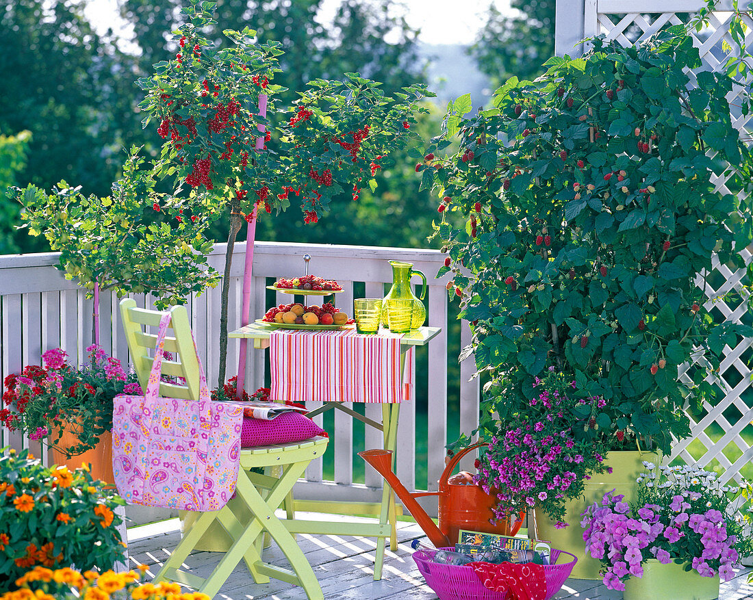 Sweet balcony with berries