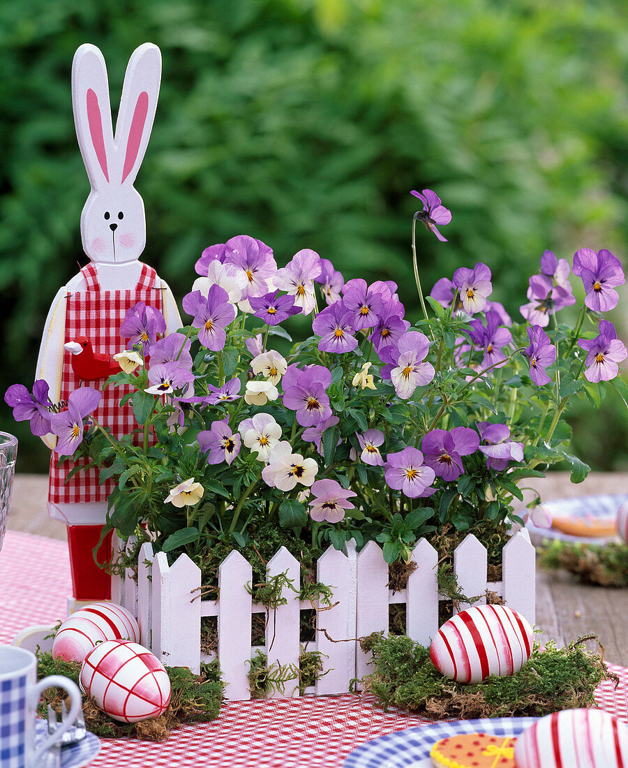 Viola cornuta (horned violet), wooden Easter bunny