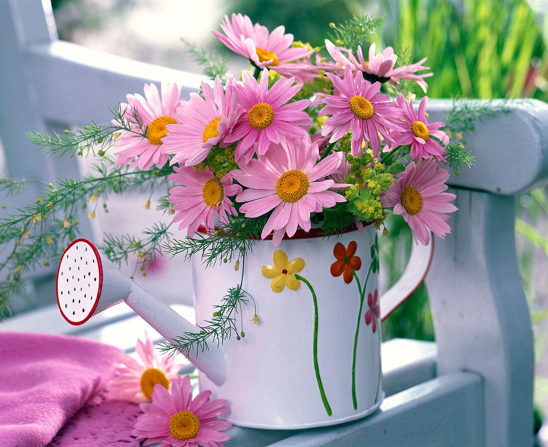 Argyranthemum (daisies), Rosa, Asparagus