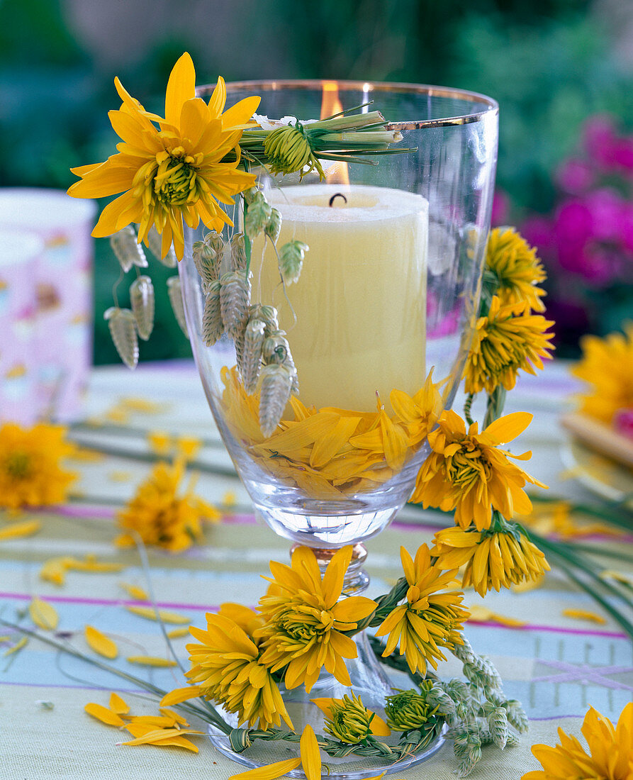 Small garland of Heliopsis 'Yellow Green Heart' (Sun Eye)