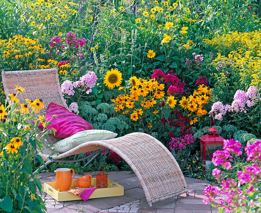 Korbliege on flowering bed with Rudbeckia fulgida and hirta