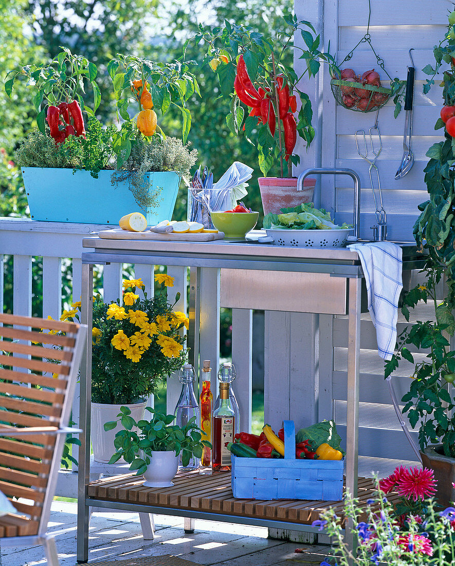 Outdoor kitchen on the balcony