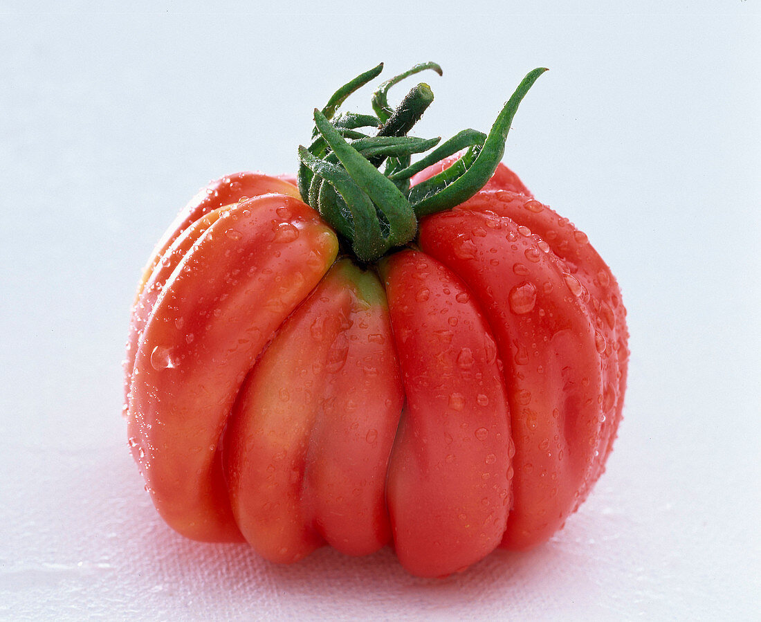 Toothed tomato sprayed on