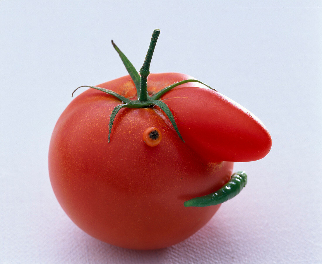 Tomato with 'Nose' as face with rosehip slice as eye and green chilli as mouth