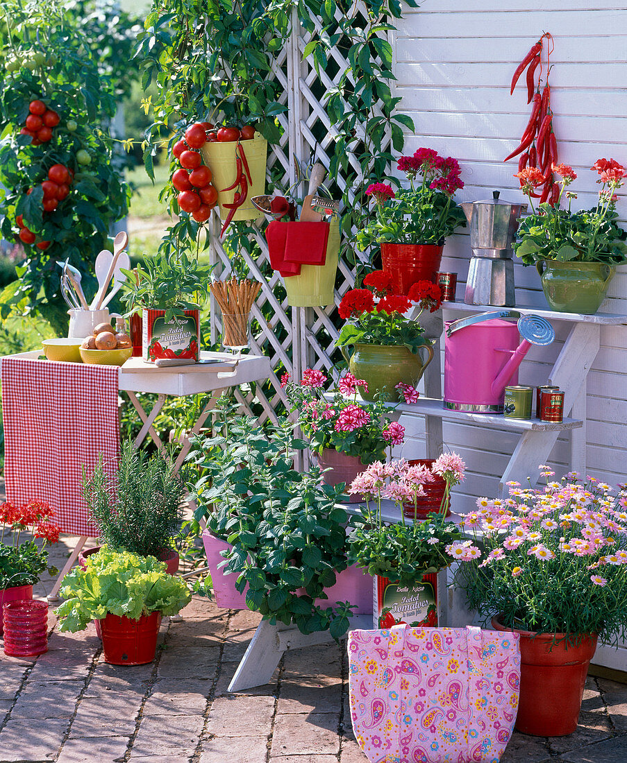 Treppenetagere mit Pelargonium (Geranien), Mentha (Minze)