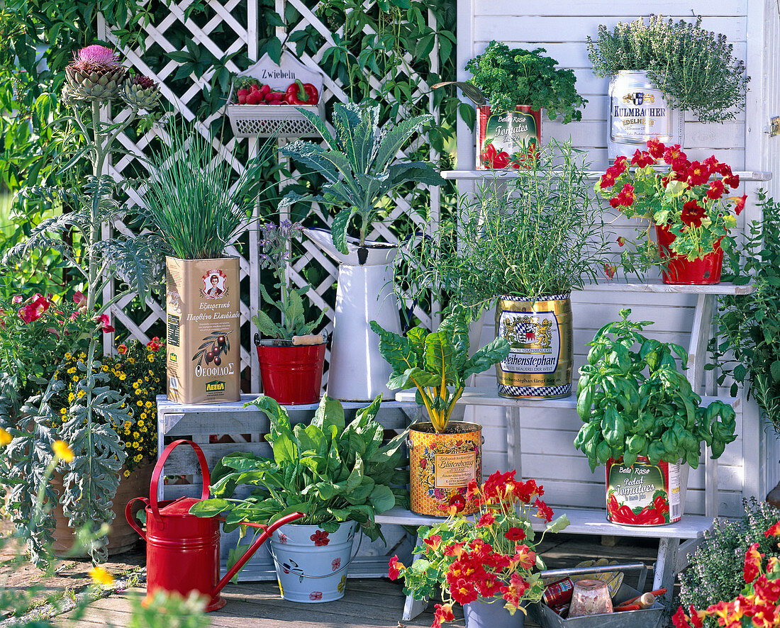 Herbs and vegetables in tin cans and enamelled containers