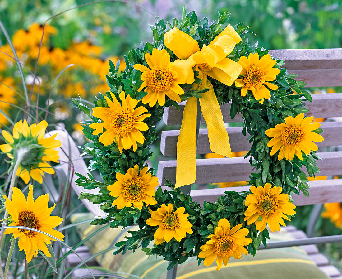 Kranz aus Buxus (Buchs) und Blüten von Helianthus (Sonnenblumen)