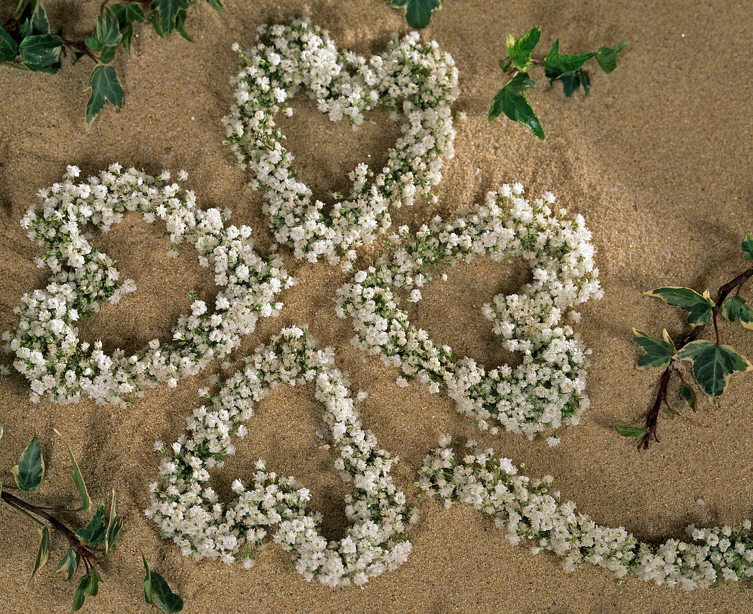 Cloverleaf of Gypsophila (baby's breath hearts)