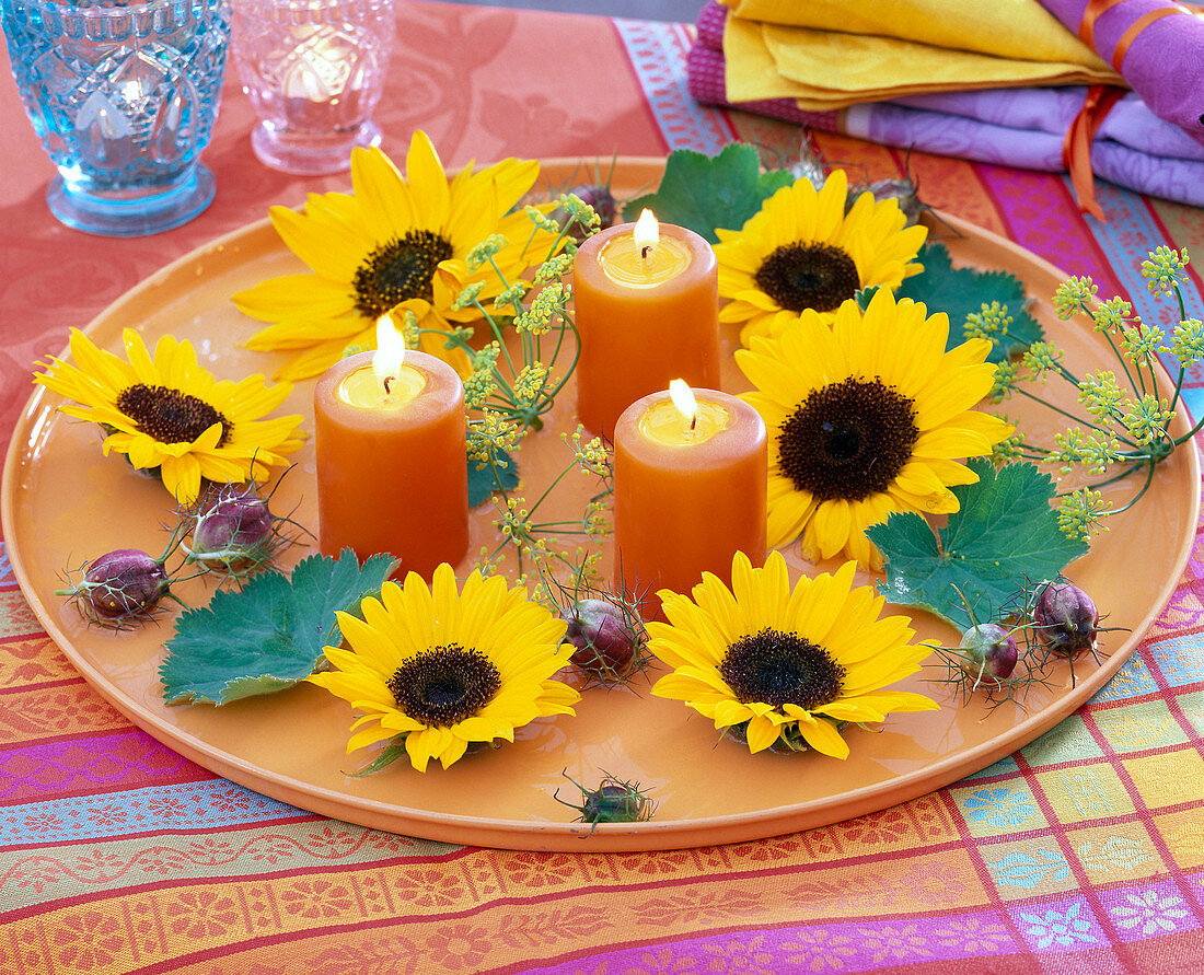 Flowers of Helianthus (sunflower), anethum (dill), seed stems