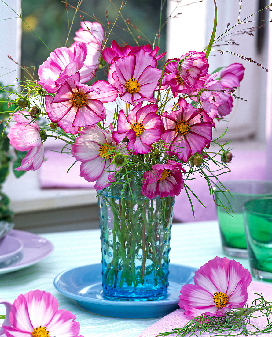 Late summer bouquet with Cosmos (garden cosmos)