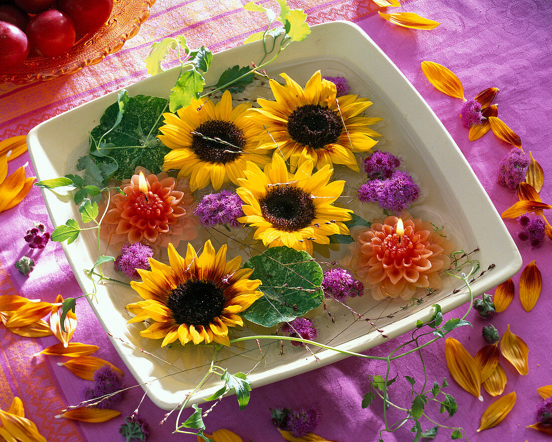 Helianthus (sunflower) flowers and floating candles in the water