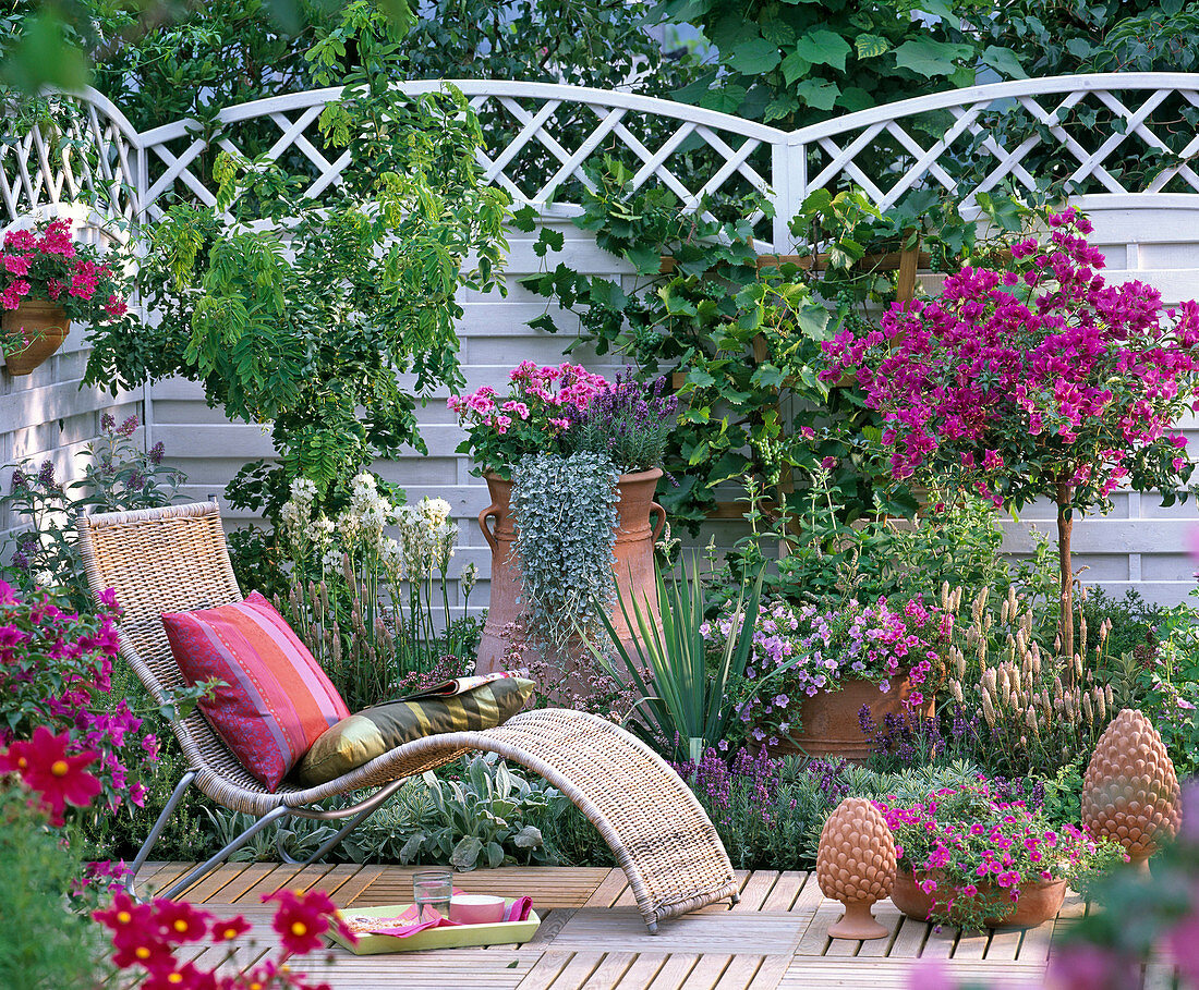 Patio with a Mediterranean ambience, basket couch