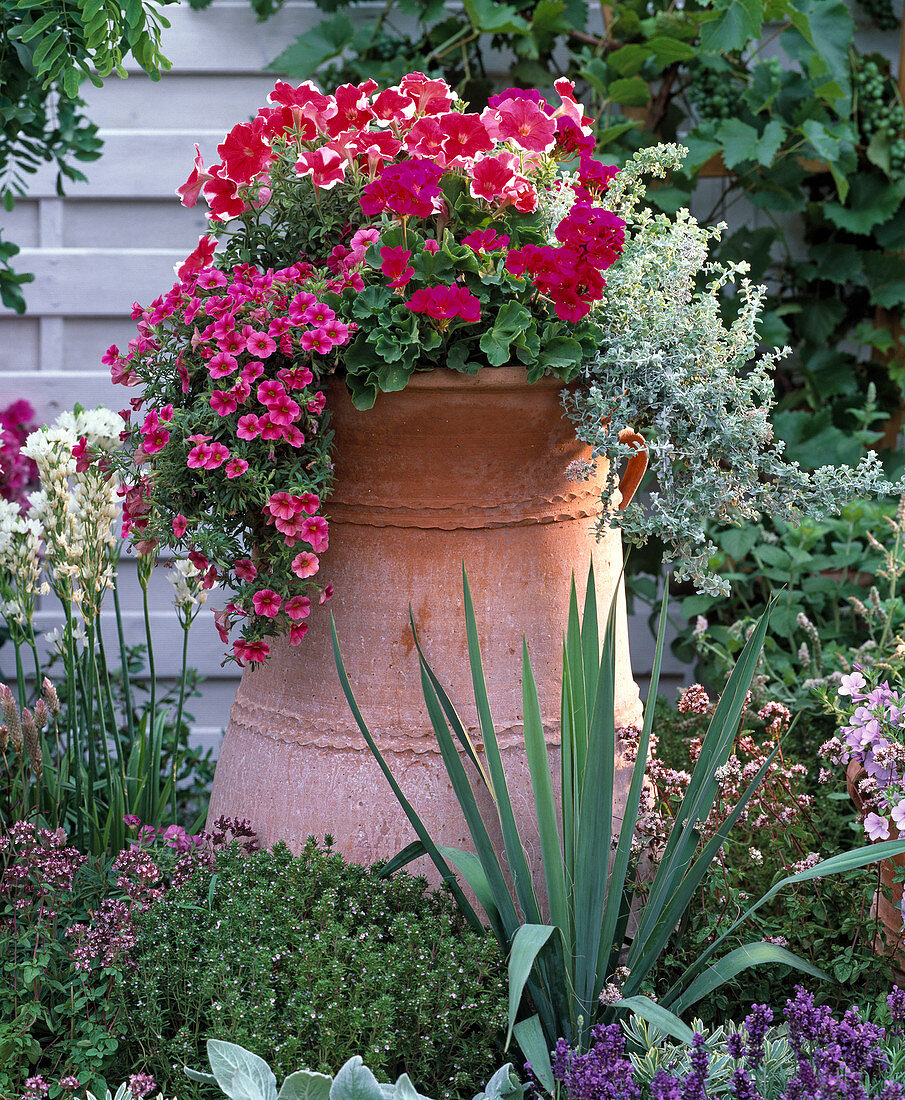 Planted amphora in the perennial border