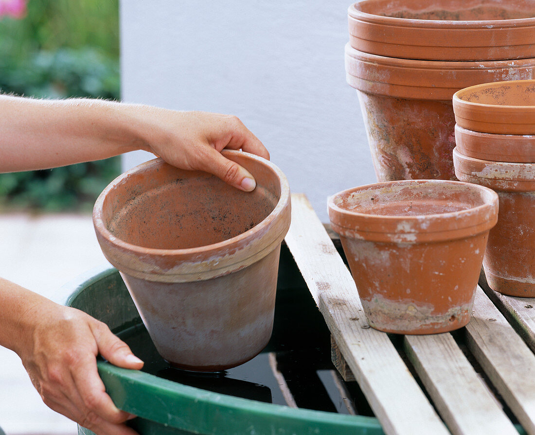 Cleaning and painting clay pots (1/4)