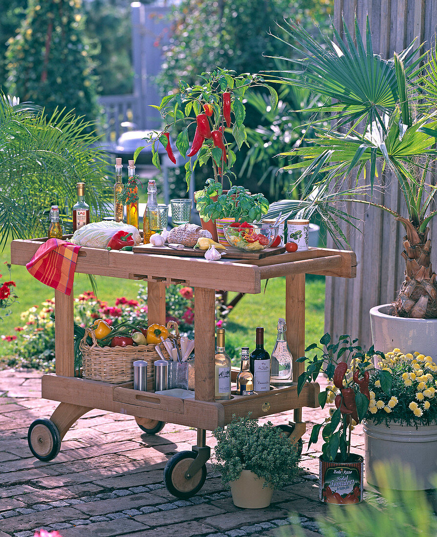 Outdoor kitchen: solid wood kitchen trolley
