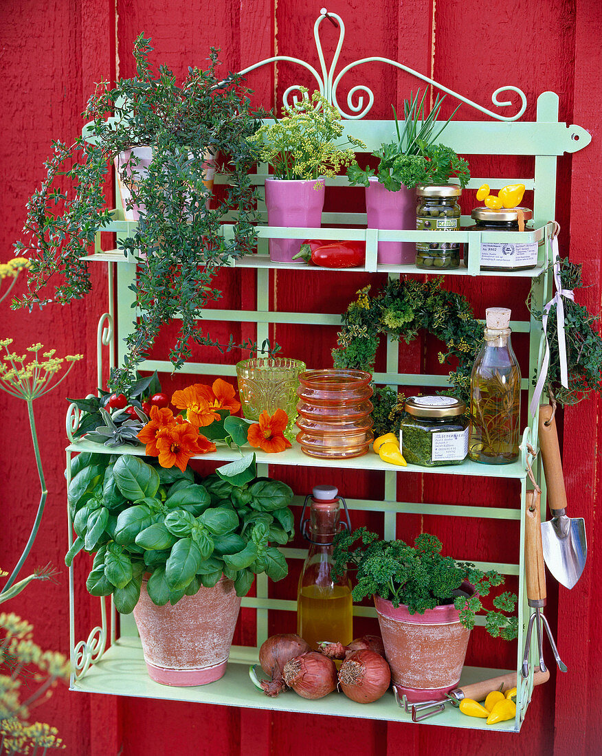 Light green shelf with herbs on Swedish red wooden wall