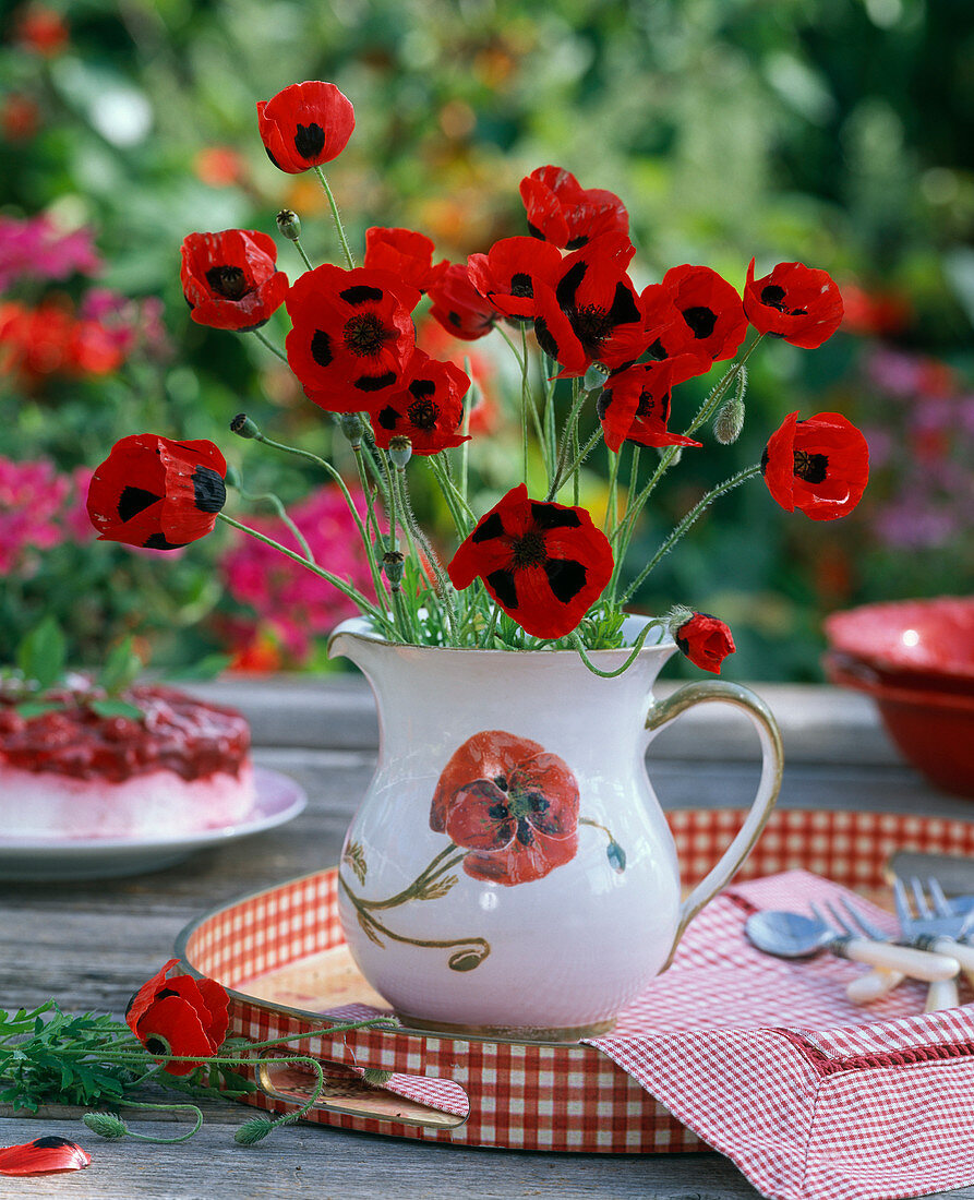 Strauß aus Papaver commutatum 'Ladybird' (Klatschmohn) in Milchkanne