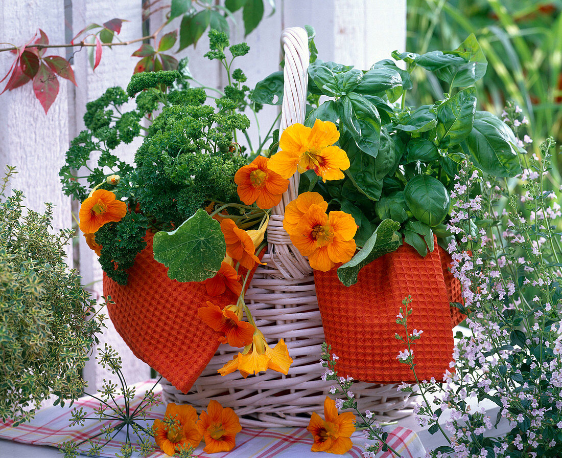 White basket with herbs