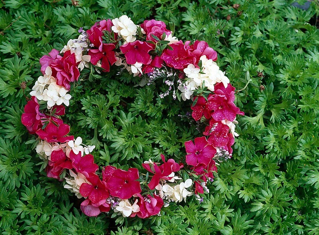 Wreath of flame flowers, hydrangea blossoms and beach lilacs