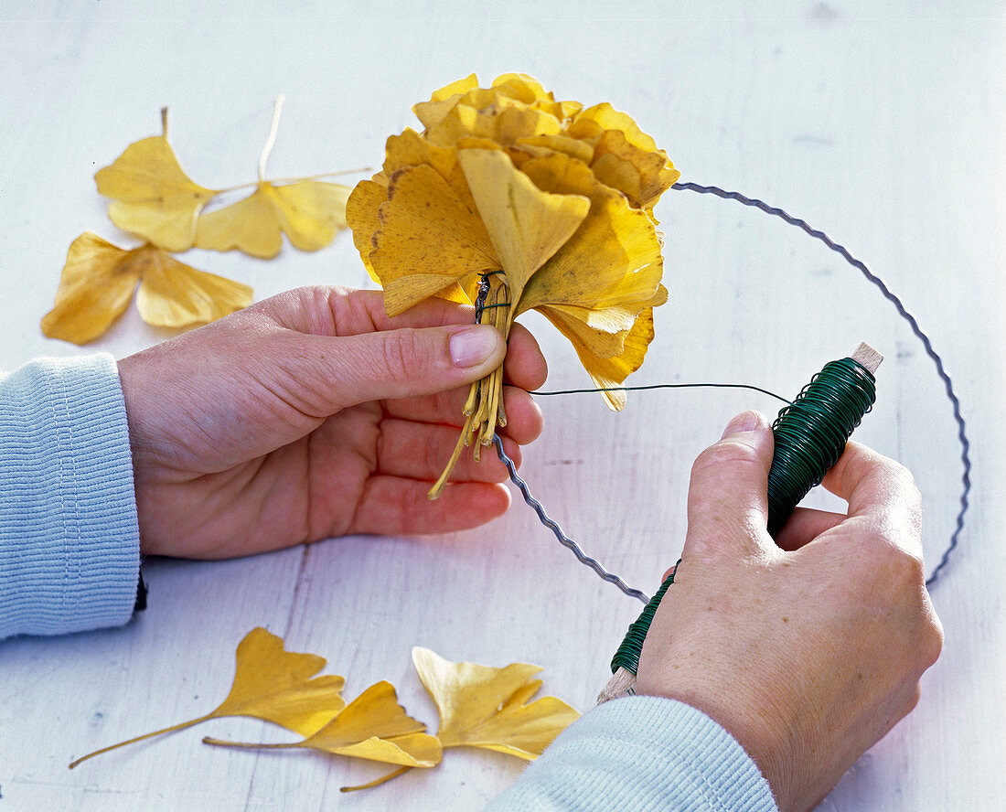 Kranz aus Ginkgoblättern (2/3)