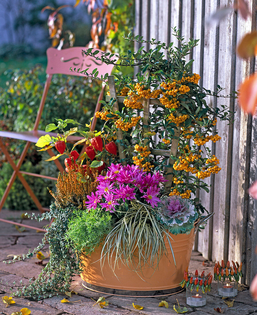 Autumn planting in orange metal tub