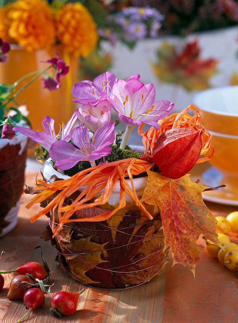 Autumn pot leaves