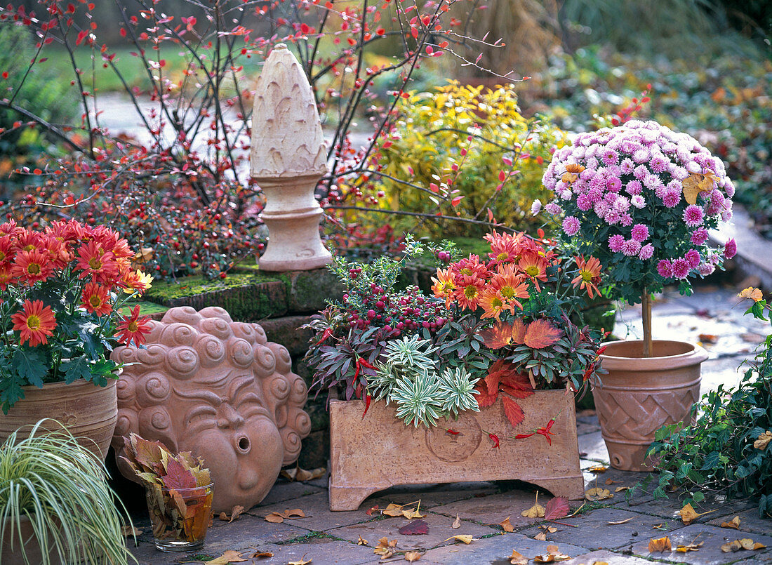 Autumn terrace