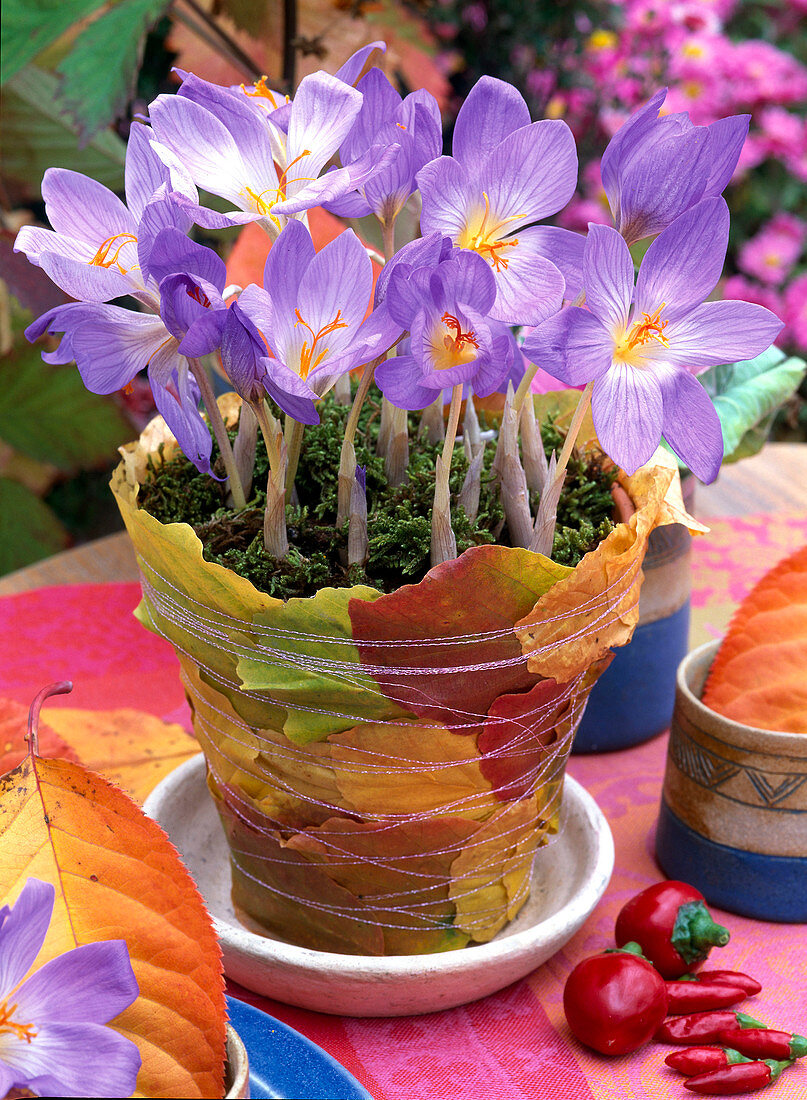 Tontopf mit Herbstlaub umwickelt: 3/3