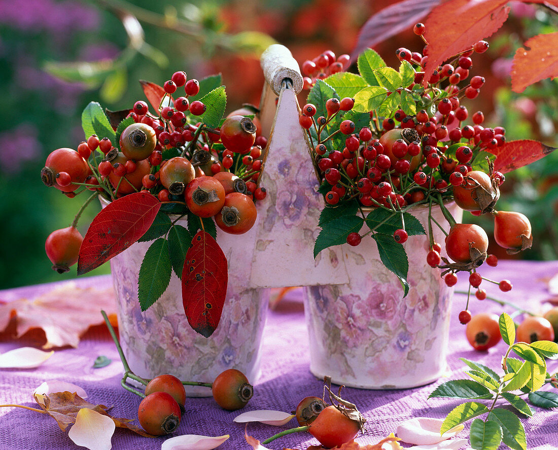 Decoration with berries and fruits