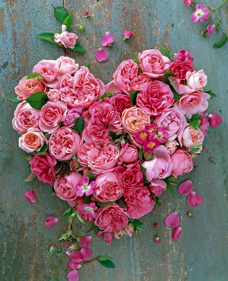 Heart of pink (rose) on wood