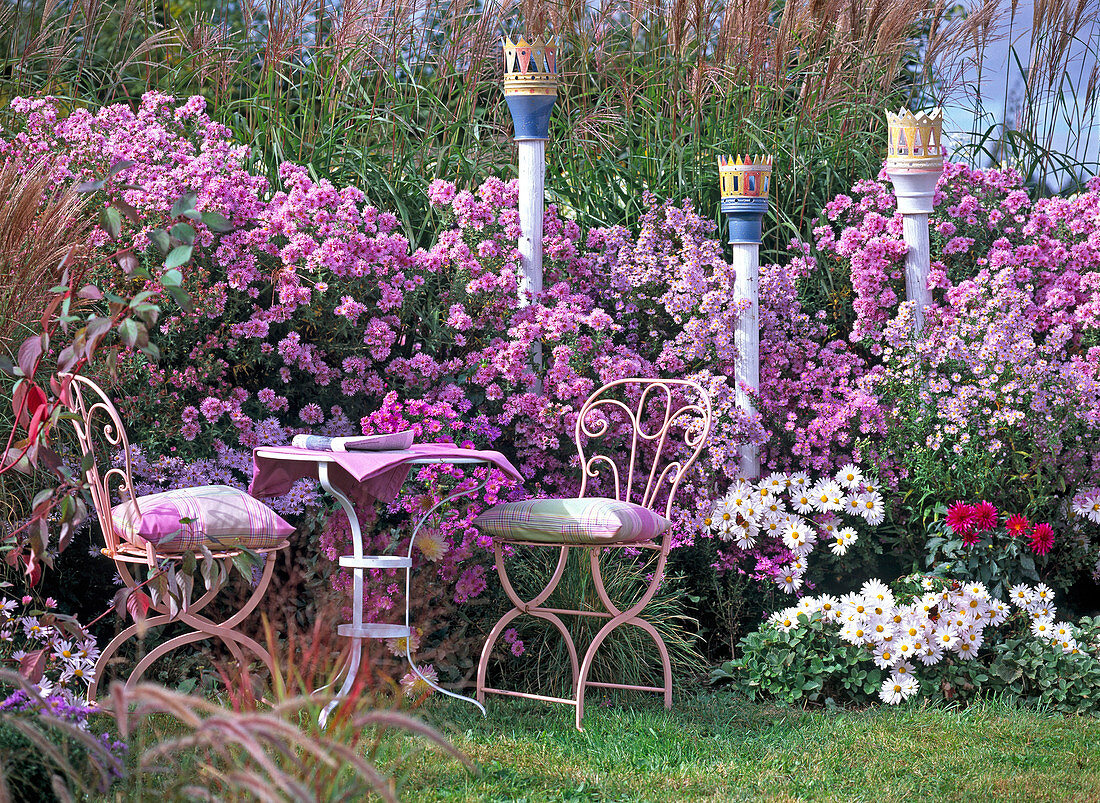 Autumn seat, perennials in pink