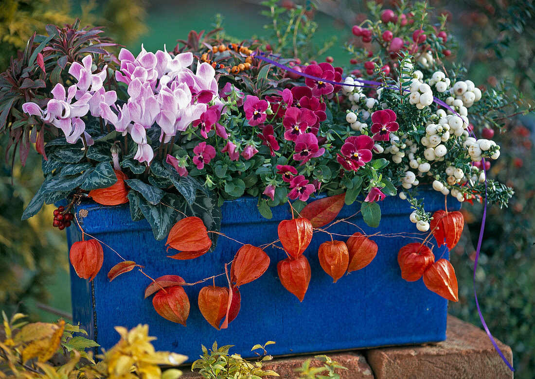 Autumn box berries fruits flowers