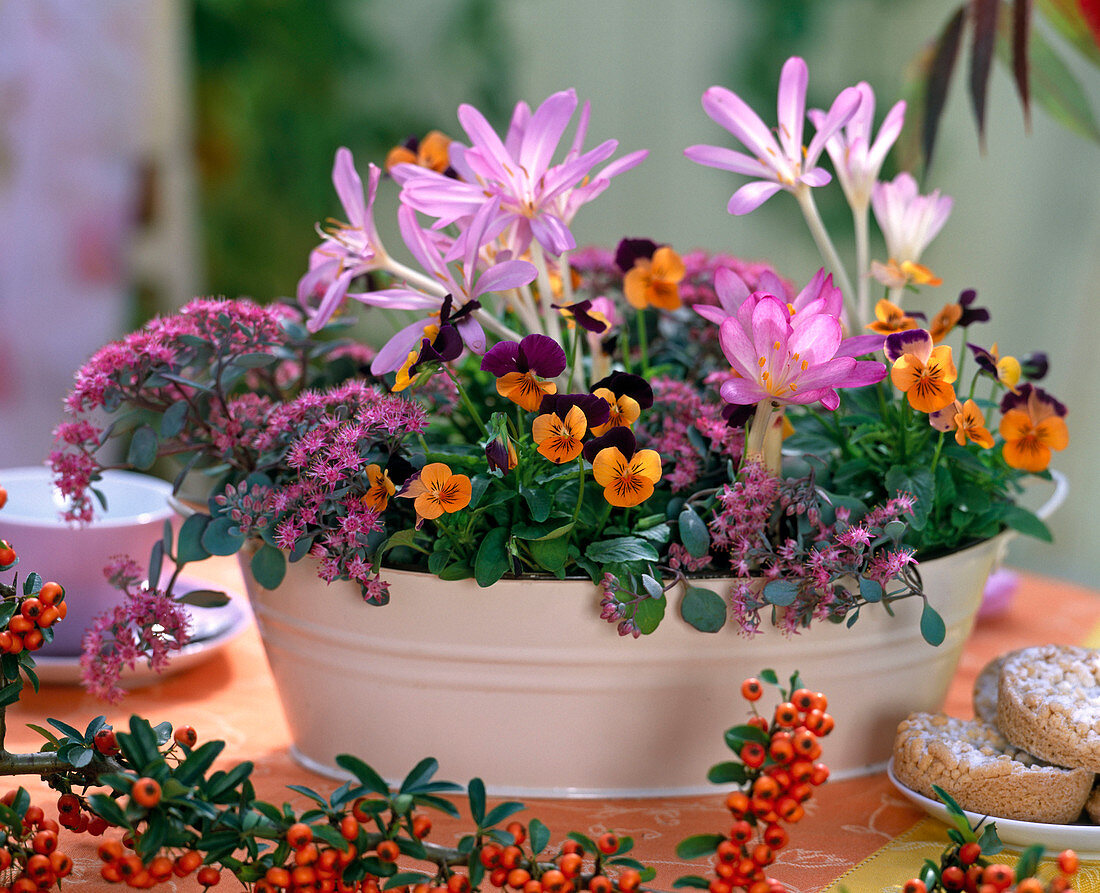 Herbst Zwiebelblumen Beeren Schale