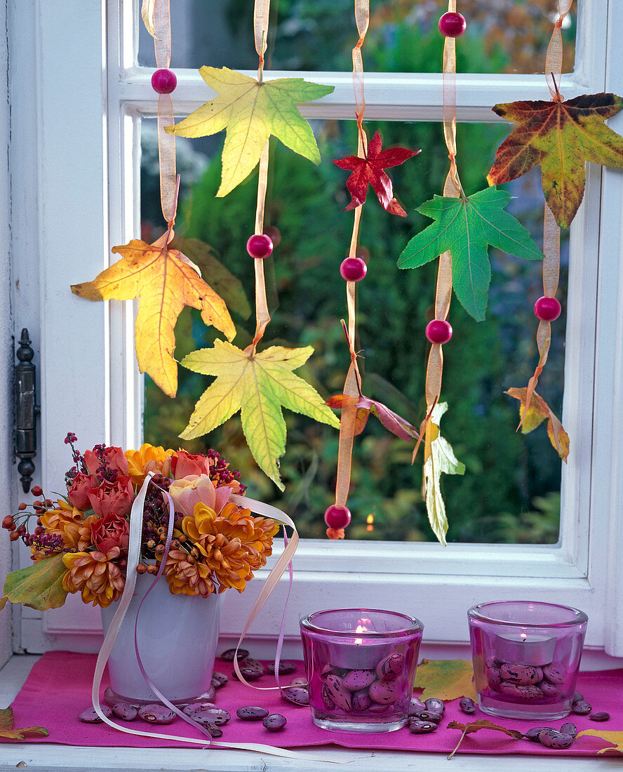 Herbstlaub von Liquidambar (Amberbaum) aufgefädelt im Fenster hängend