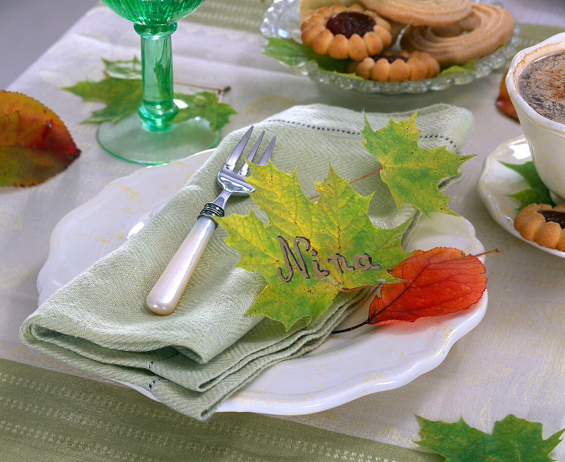 Leaf of Acer (maple) as name plate 'Nina' on light green napkin