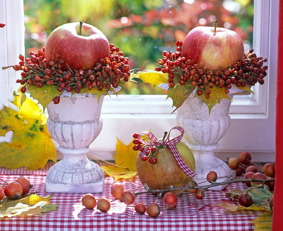 Malus (apples) with wreaths of pink (rose hips) on small white goblets