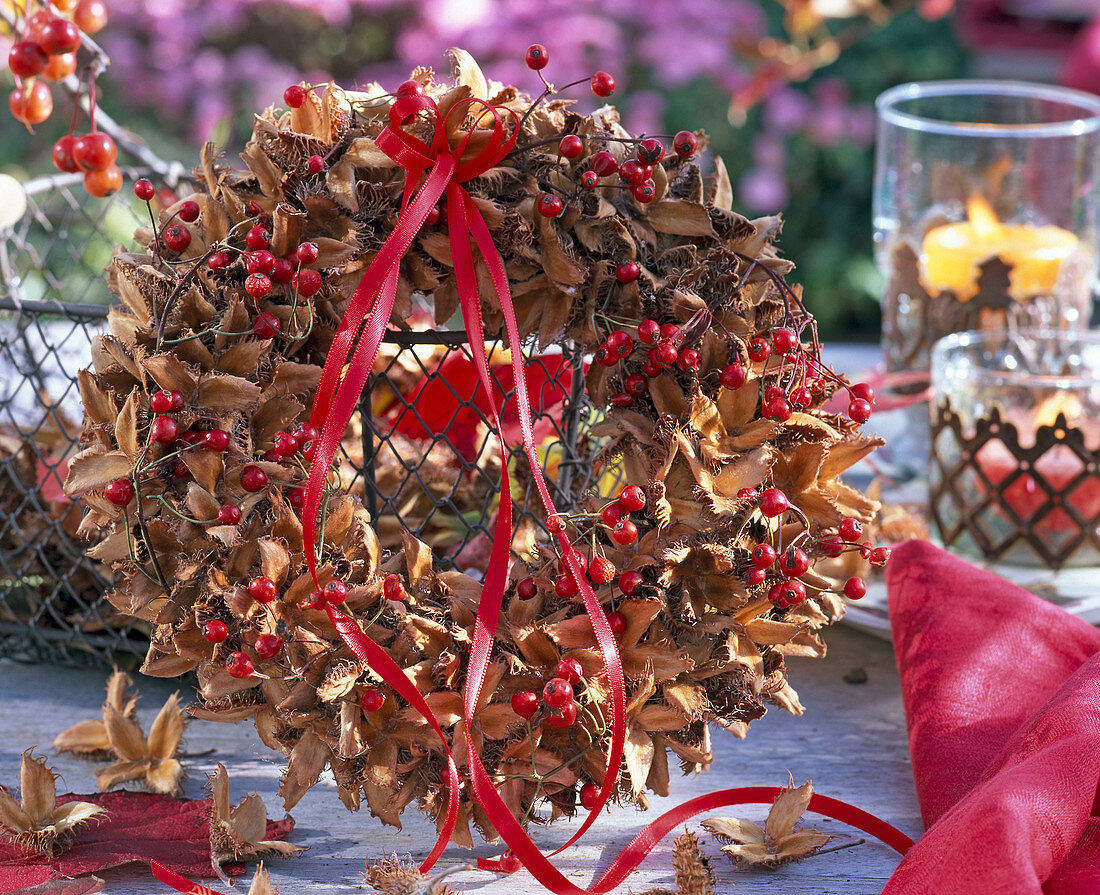 Wreath of Fagus (beechnuts), Rosa (rose hips)