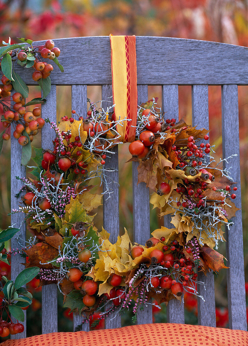 Wreath made of Acer (maple), Rosa (rose hips), Calocephalus (barbed wire)