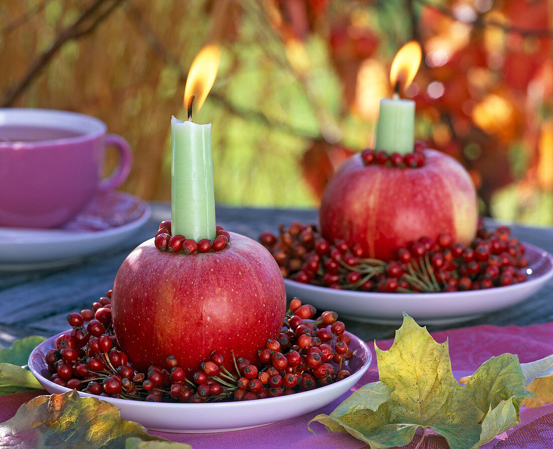 Wreaths of pink to Malus as candlesticks, autumn leaves