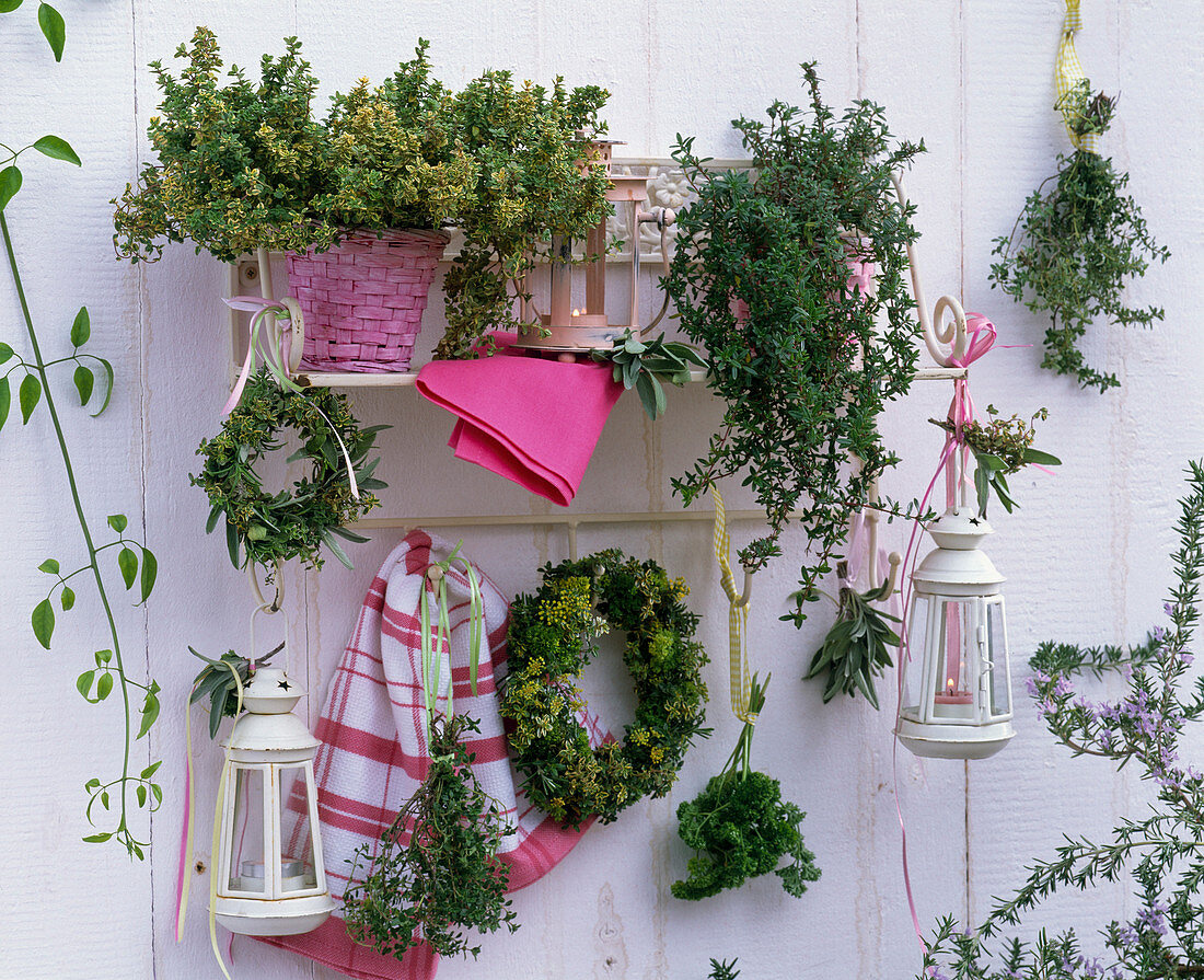 Herb shelf with thymus, wreaths of thyme, salvia