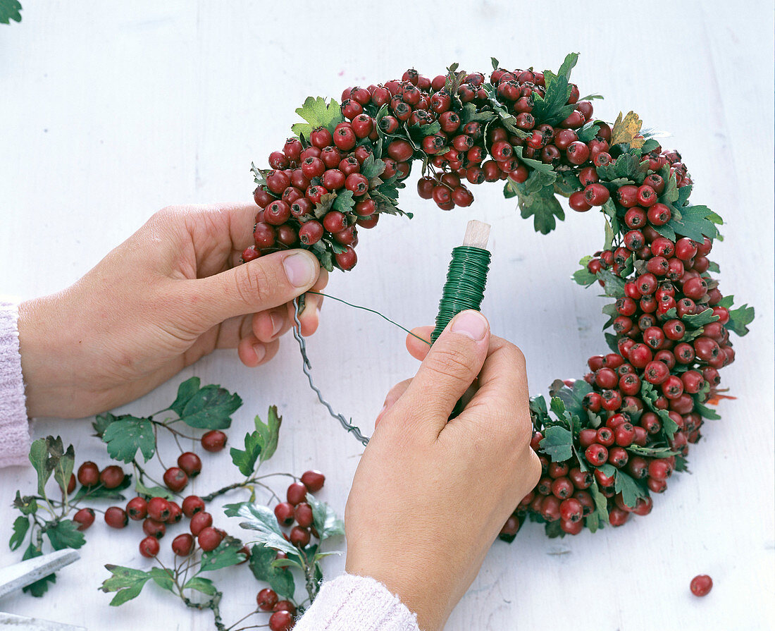 Berry wreath of hawthorn (2/3)
