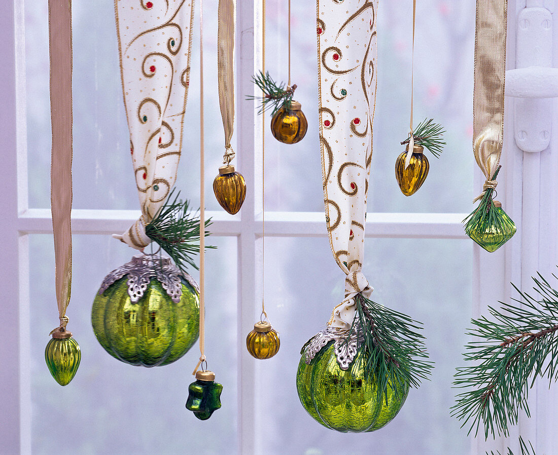 Pseudotsuga (Douglas fir), green and golden Christmas tree balls