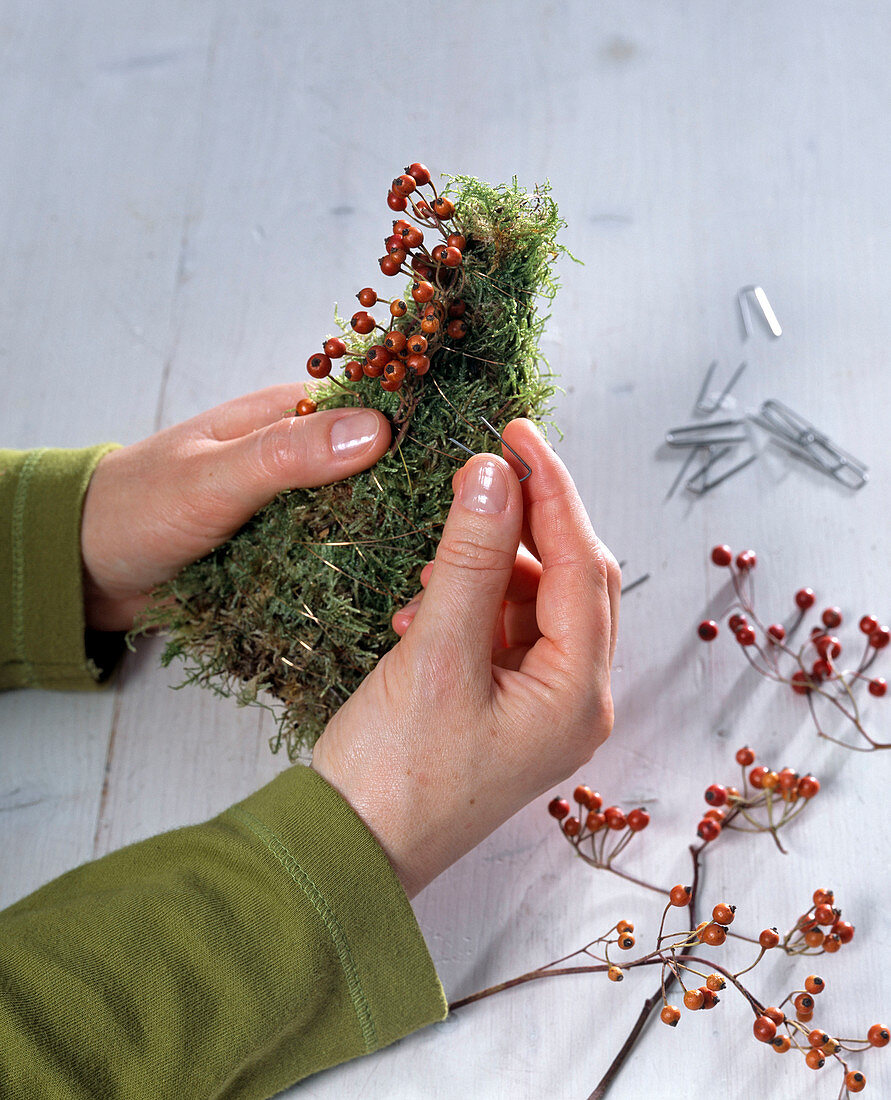 Rosehip cone