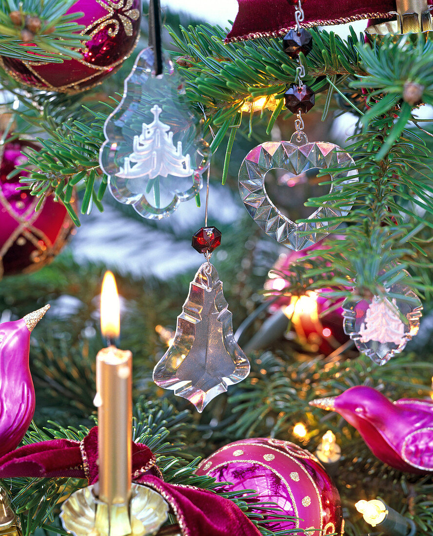 Glass Christmas tree ornaments on Abies nordmanniana (Nordmann fir)