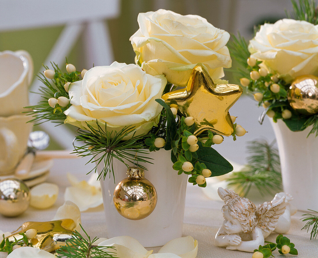 Rosa 'Talea' (Rose, weiß), Pinus (Kiefer), Hypericum (Johanniskraut)