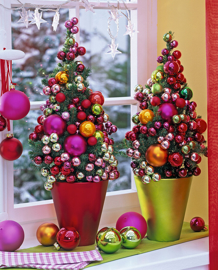 Picea glauca 'Conica' (Zuckerhutfichten) mit bunten Weihnachtsbaumkugeln