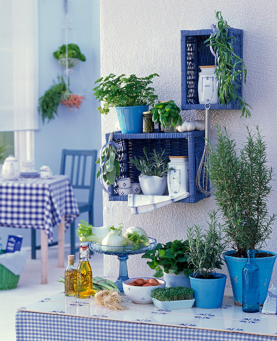 Blue baskets as wall shelves, rosmarinus in blue planters