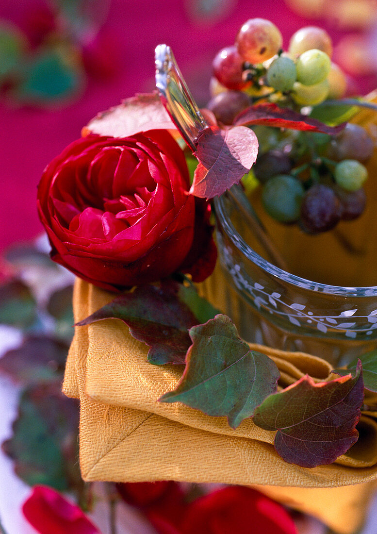 Rosa (rose blossom), Vitis (grapes), Parthenocissus (wild vine)